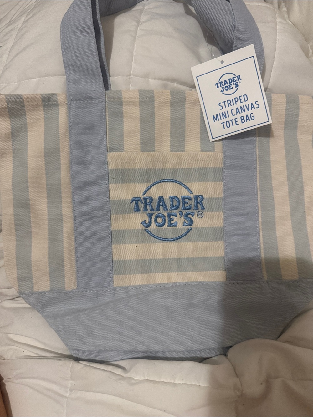 Trader Joe's Striped Mini Canvas Tote Bag - Light Blue & Cream